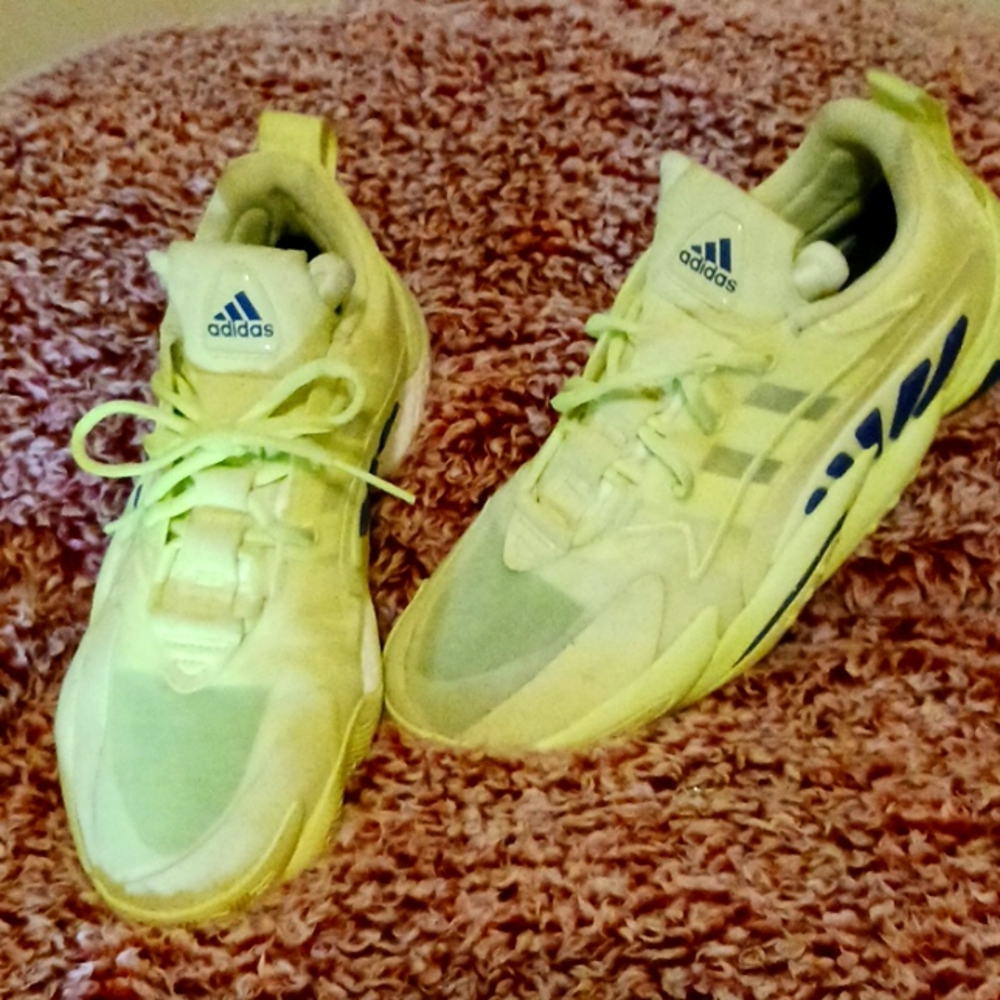 Adidas Crazy 🤪 with Boost